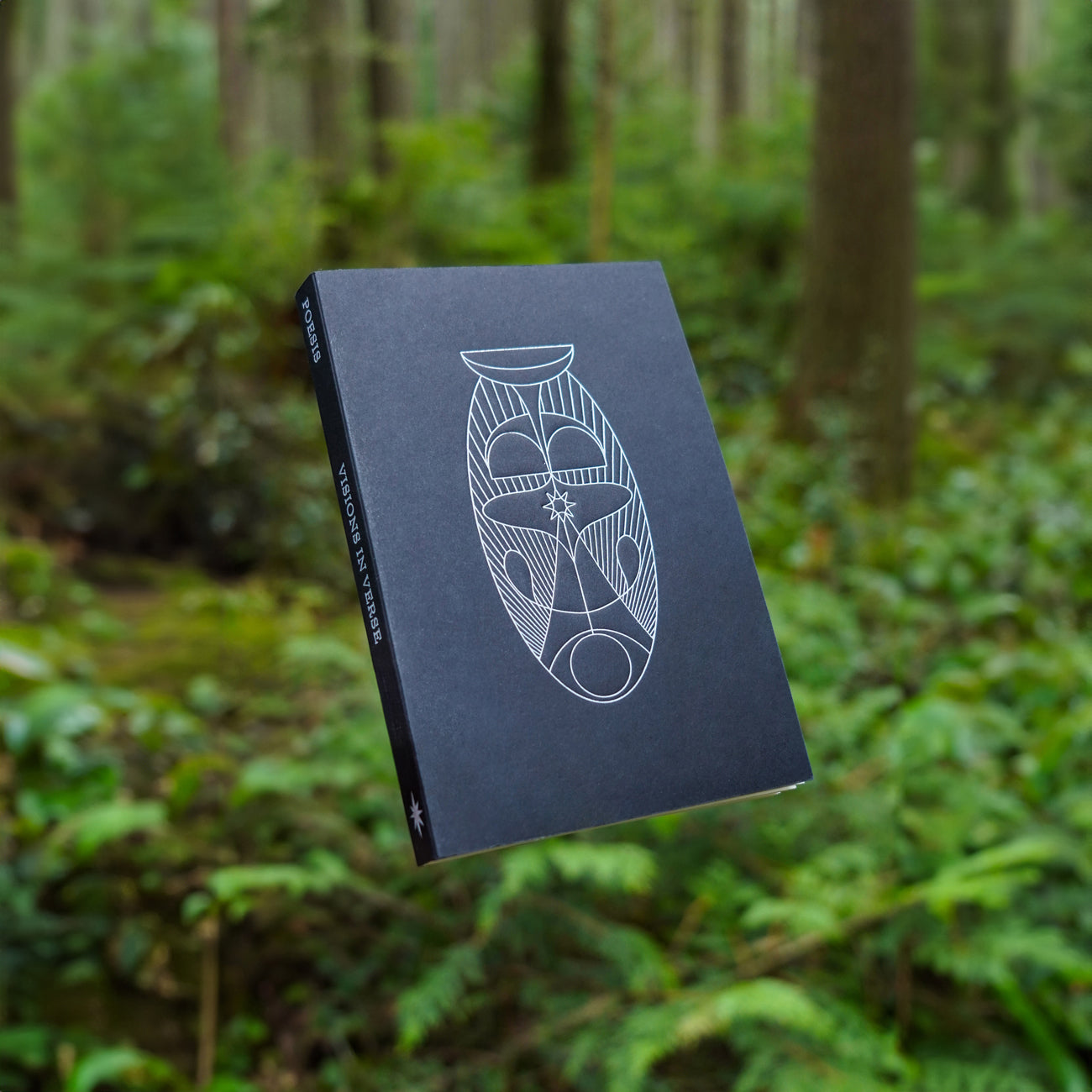 VISIONS IN VERSE - POESIS GUIDE BOOK