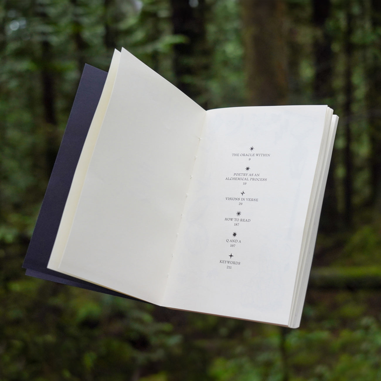 VISIONS IN VERSE - POESIS GUIDE BOOK